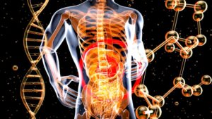 How Environmental Toxins Can Harm Liver Cells and What You Can Do About It