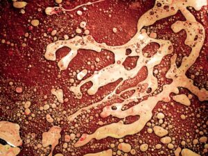 How the Liver Regenerates Itself Insights into the Body's Remarkable Healing Abilities