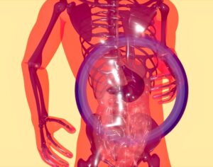 How to Create a Liver-Friendly Diet That Supports Detoxification and Overall Wellness