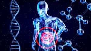 Understanding the Liver’s Role in Metabolism and How It Affects Weight Gain